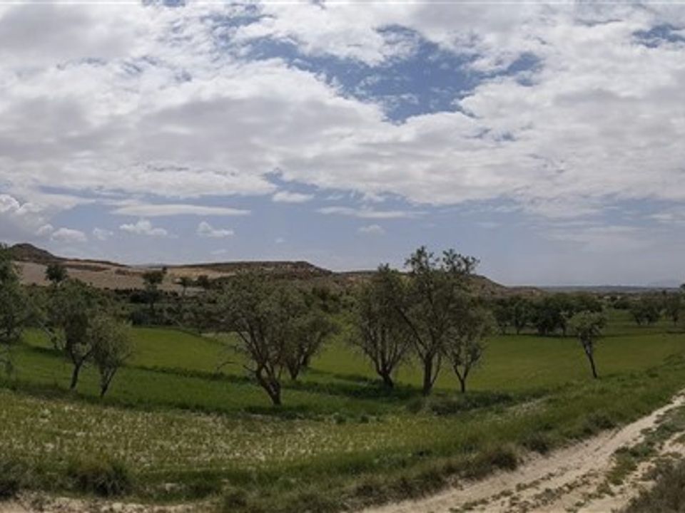 Helårsgrund i Huescar, Granada - foto 4