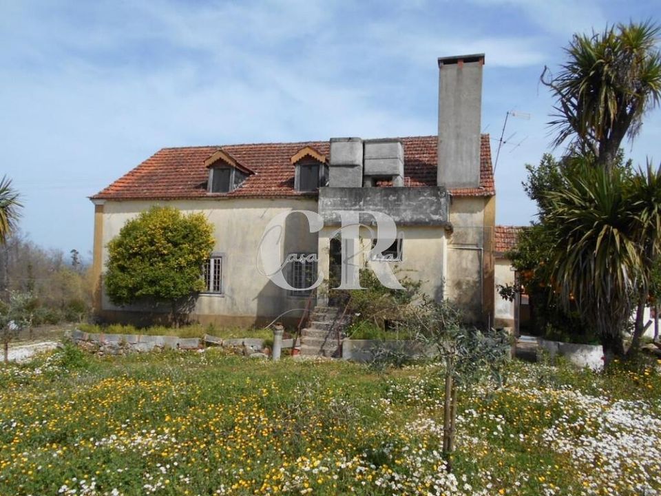 Farm i Ansiao, Leiria - foto 5