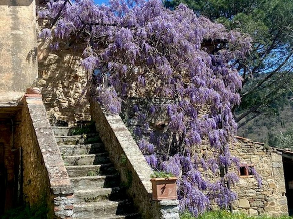 Villa i Cortona, Arezzo - foto 4