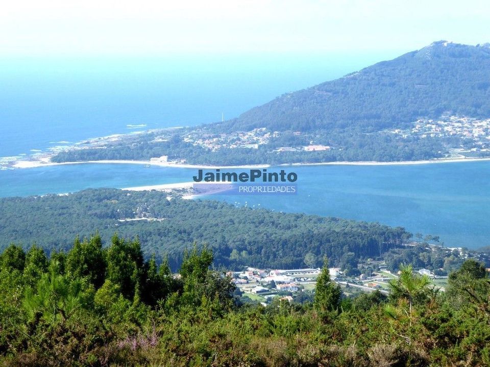 Farm i Caminha, Viana do Castelo - foto 4