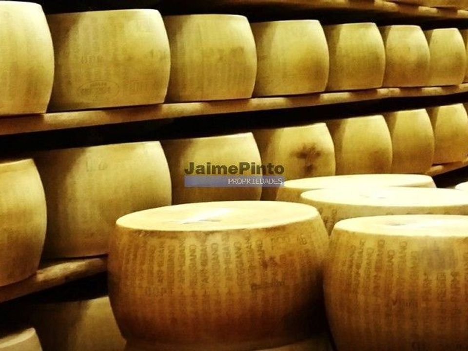 Erhvervsejendom i Gouveia, Guarda - foto 2