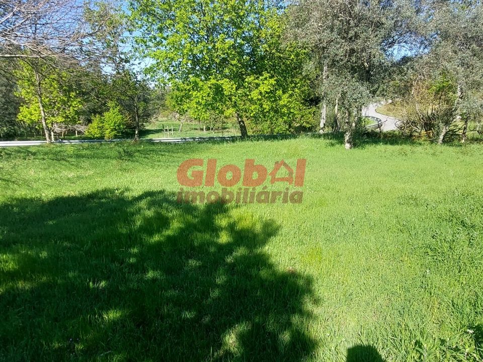 Helårsgrund i Viseu, Viseu - foto 3