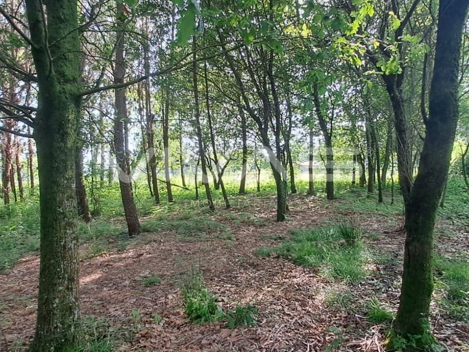 Helårsgrund i Vila Verde, Braga - foto 4