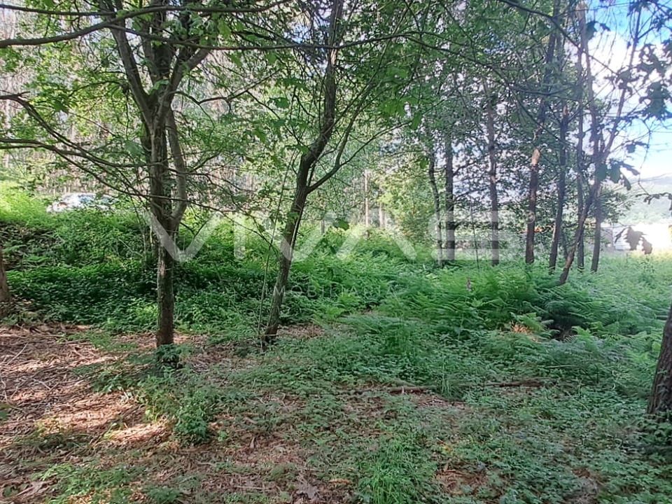 Helårsgrund i Vila Verde, Braga - foto 5
