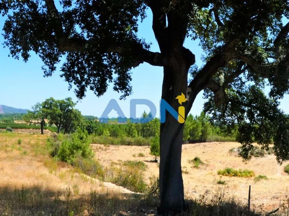 Helårsgrund i Vale de Prazeres e Mata da Rainha, Castelo Branco - foto 5