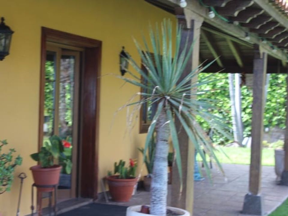 Finca i La Orotava, Tenerife - foto 5