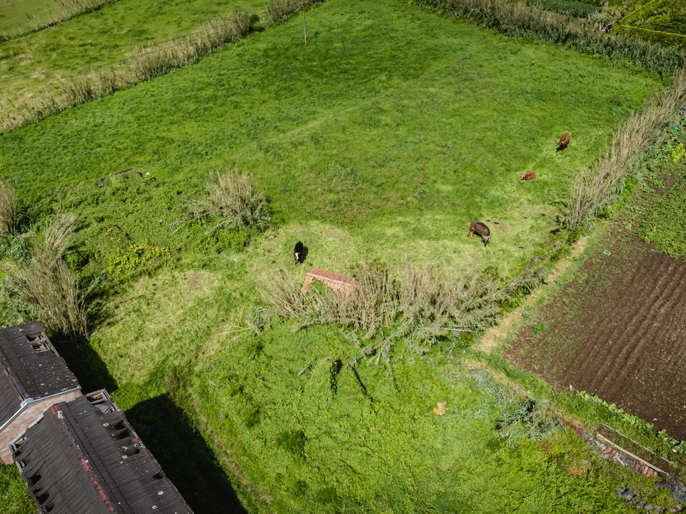 Ruina en Horta, Faial - foto 3
