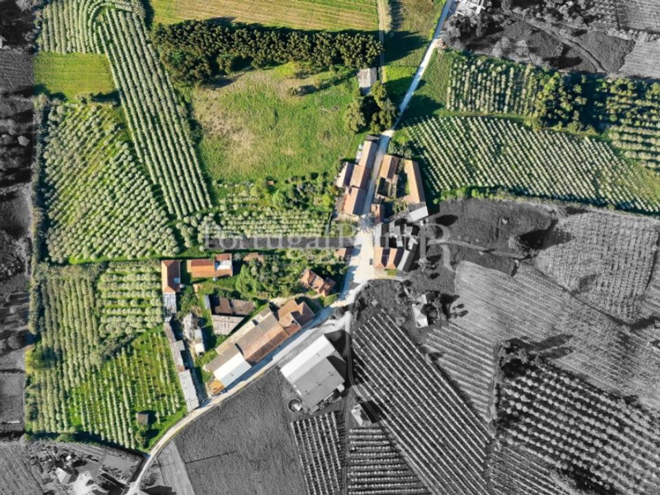 Granja a Carvalhal, Leiria - foto 4