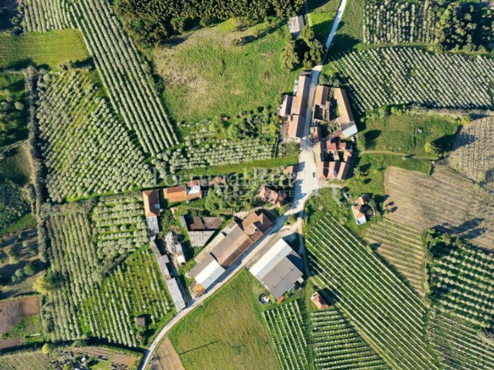 Granja a Carvalhal, Leiria - foto 5