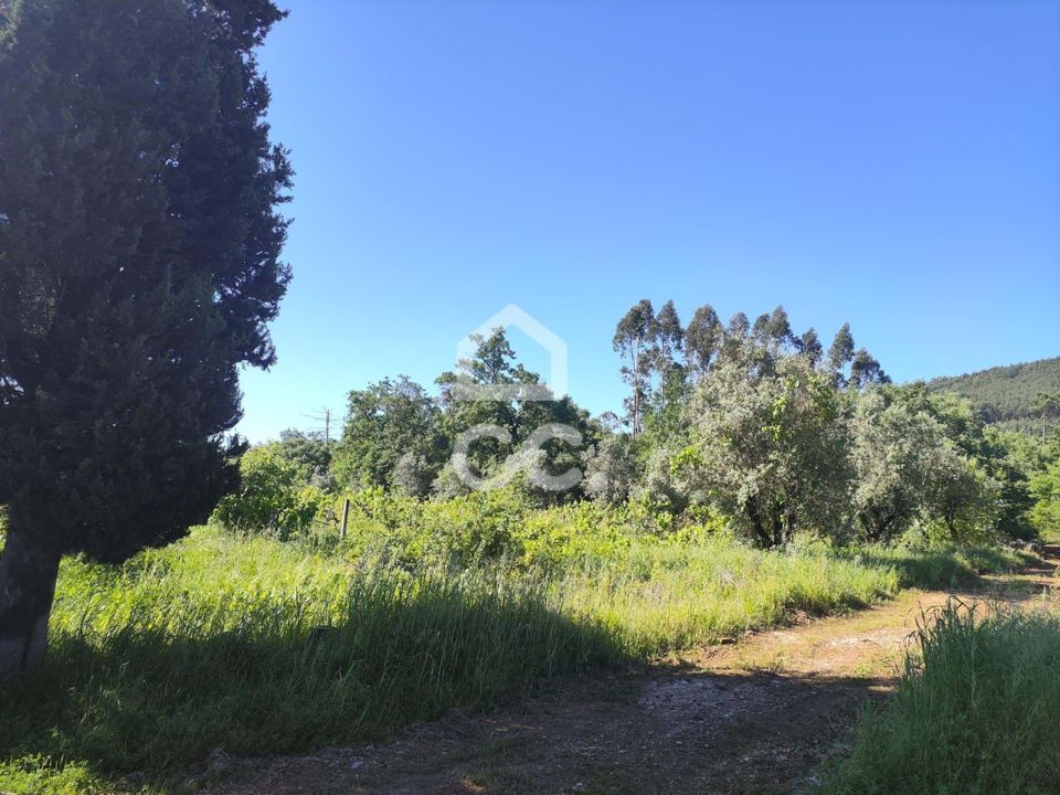 Helårsgrund i Alvaiazere, Leiria - foto 2