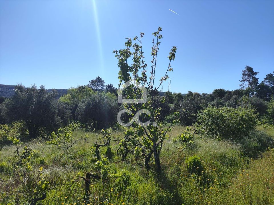 Helårsgrund i Alvaiazere, Leiria - foto 3