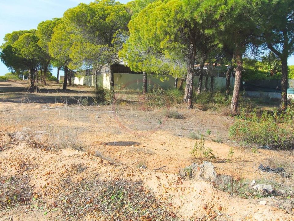 Helårsgrund i Almancil, Faro - foto 1