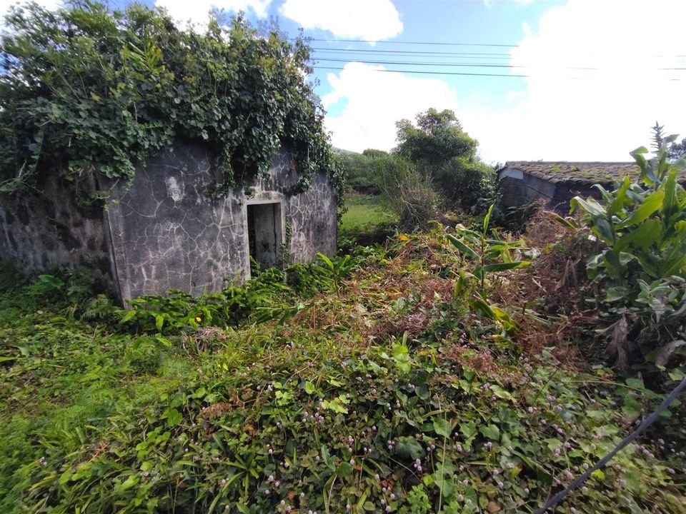 Ruin i Horta, Faial - bilde 5