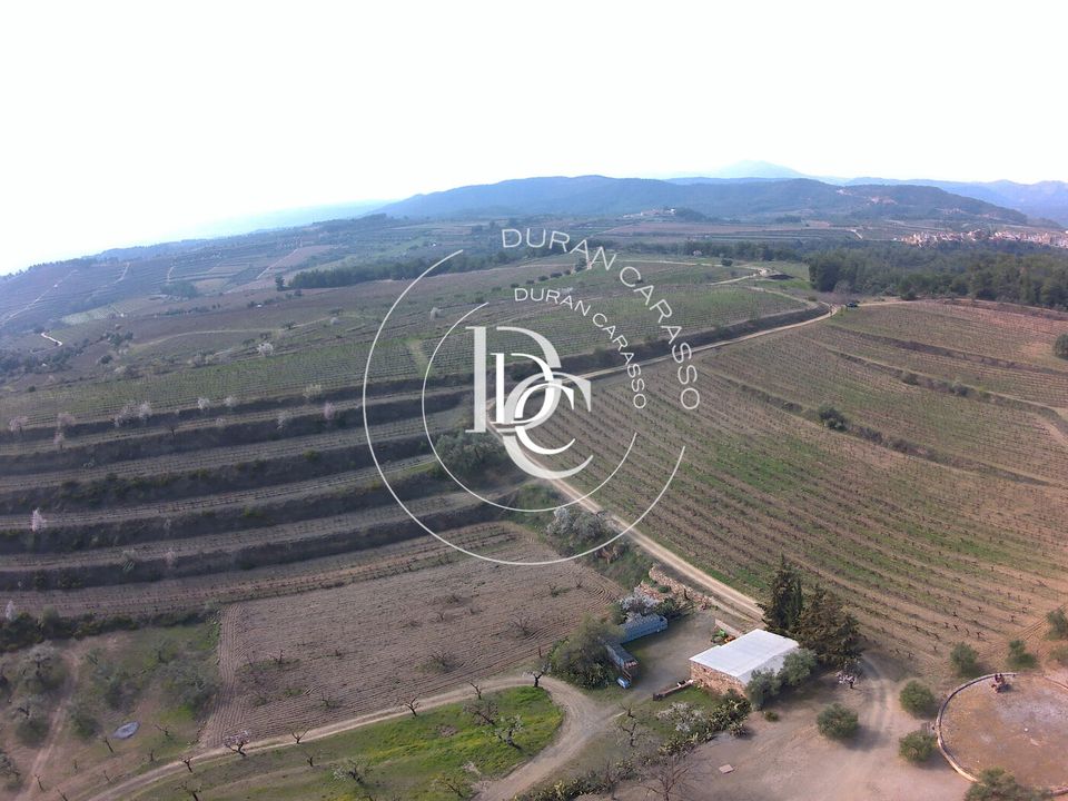 Casa rural em El Molar, Tarragona - foto 5