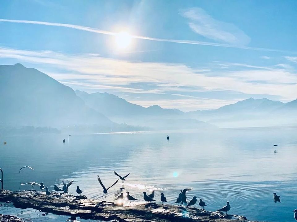 Erhvervsejendom i Annecy, Haute-Savoie - foto 1
