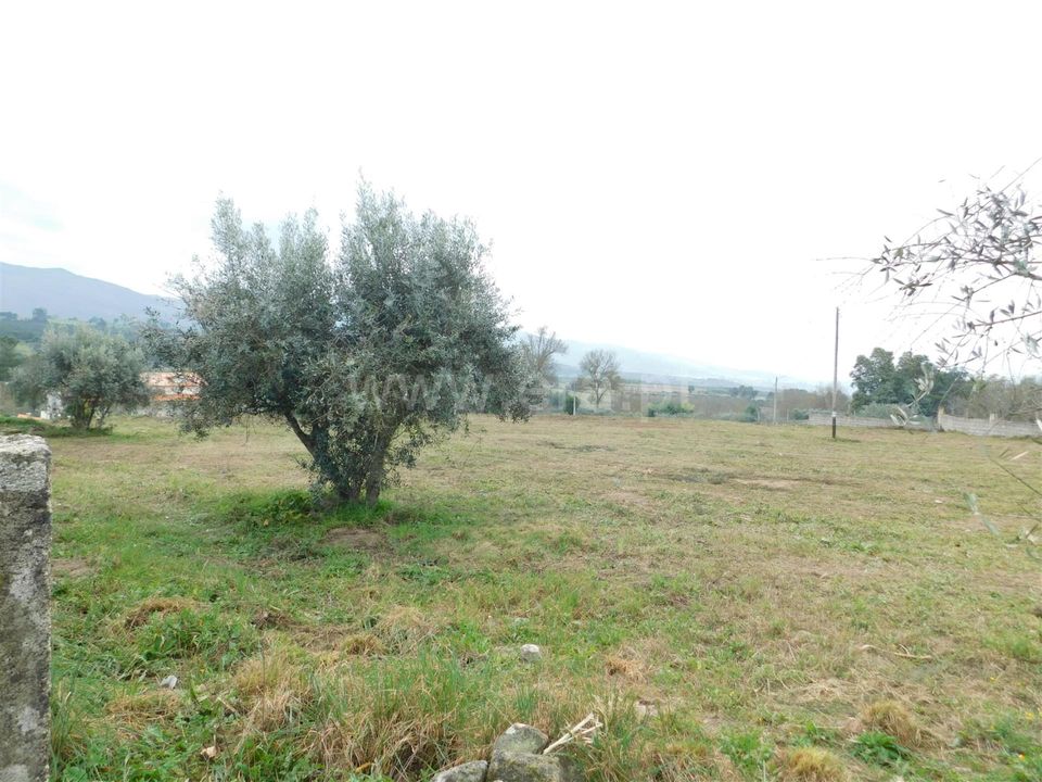 Helårsgrund i Celorico da Beira, Guarda - foto 1