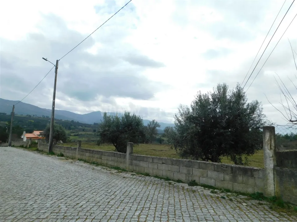 Helårsgrund i Celorico da Beira, Guarda - foto 2