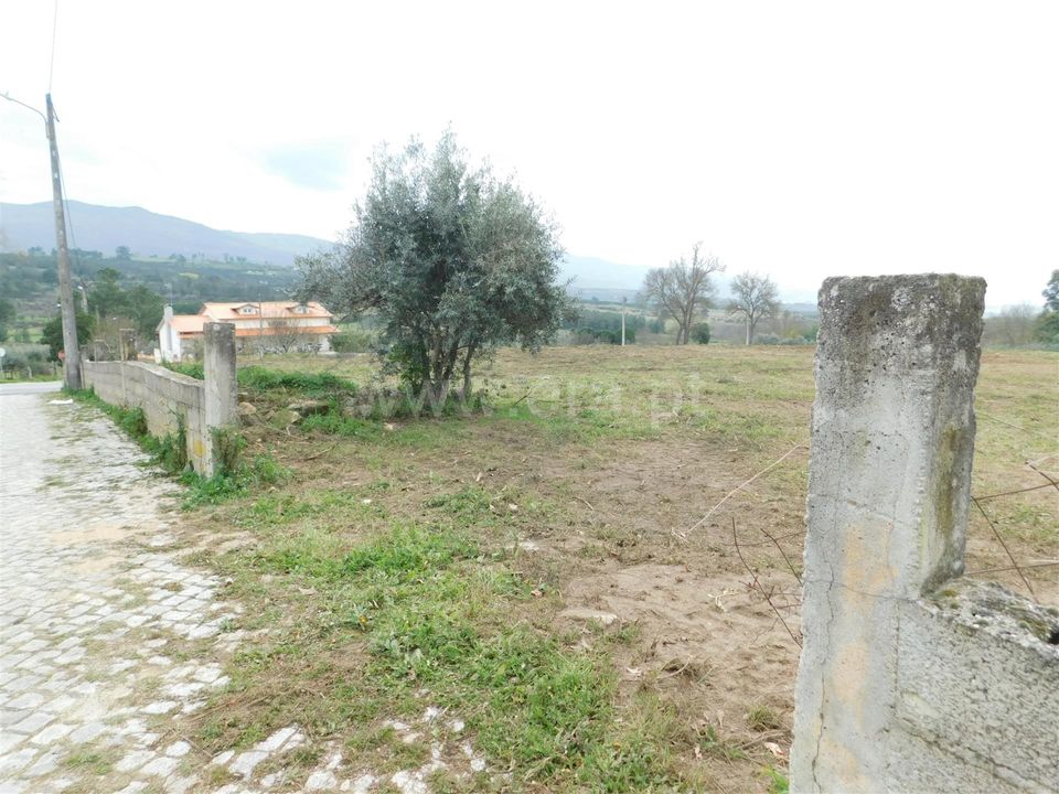 Helårsgrund i Celorico da Beira, Guarda - foto 3