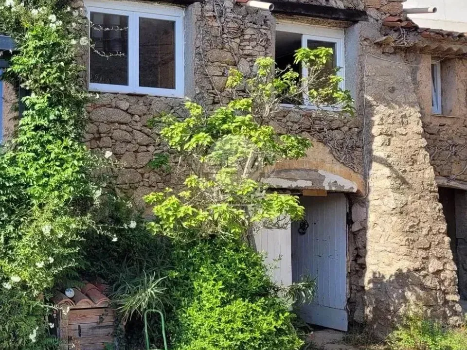 Villa i Le Plan-de-la-Tour, Var - foto 3