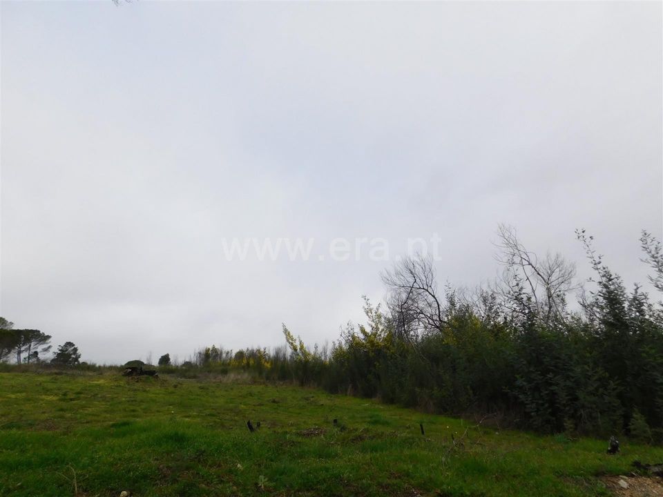 Tomt i Gouveia, Guarda - bilde 4