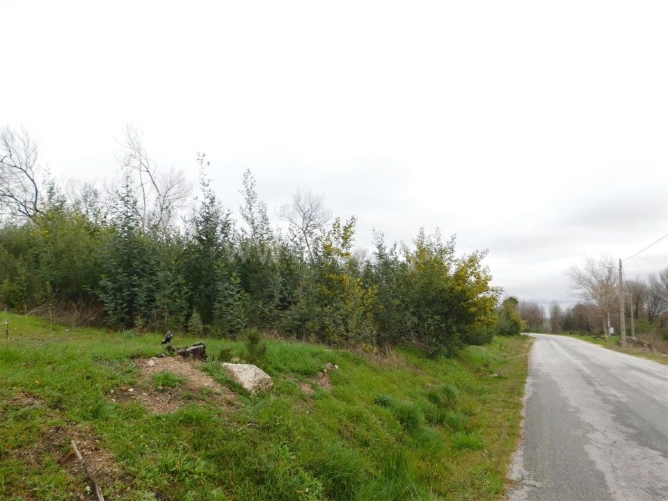 Tomt i Gouveia, Guarda - bilde 5