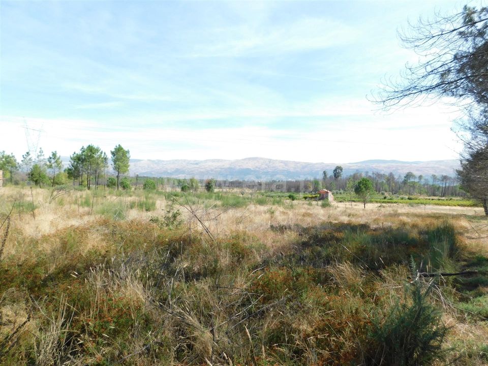Terra a Seia, Guarda - foto 1