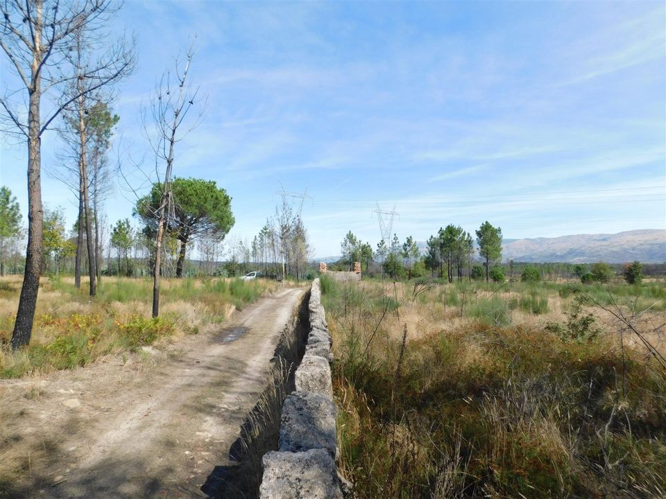 Terra a Seia, Guarda - foto 2
