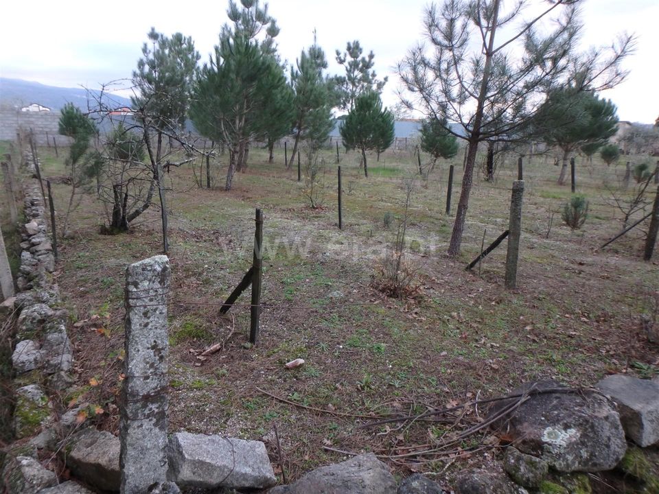 Farm i Seia, Guarda - foto 2