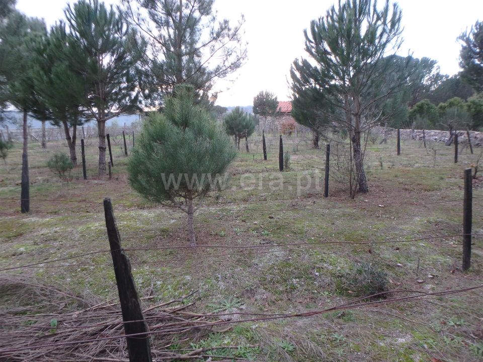 Farm i Seia, Guarda - foto 3