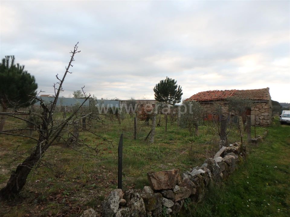 Farm i Seia, Guarda - foto 4