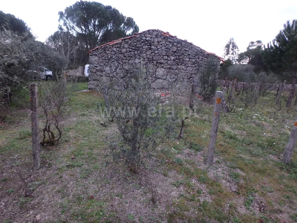 Farm i Seia, Guarda - foto 5