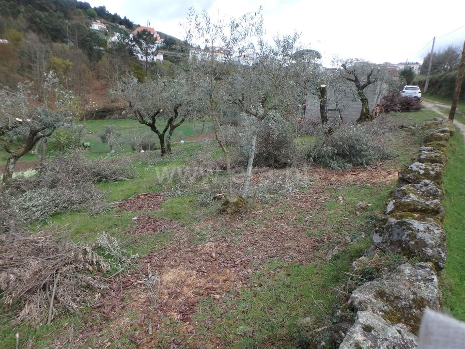 Granja en Seia, Guarda - foto 4