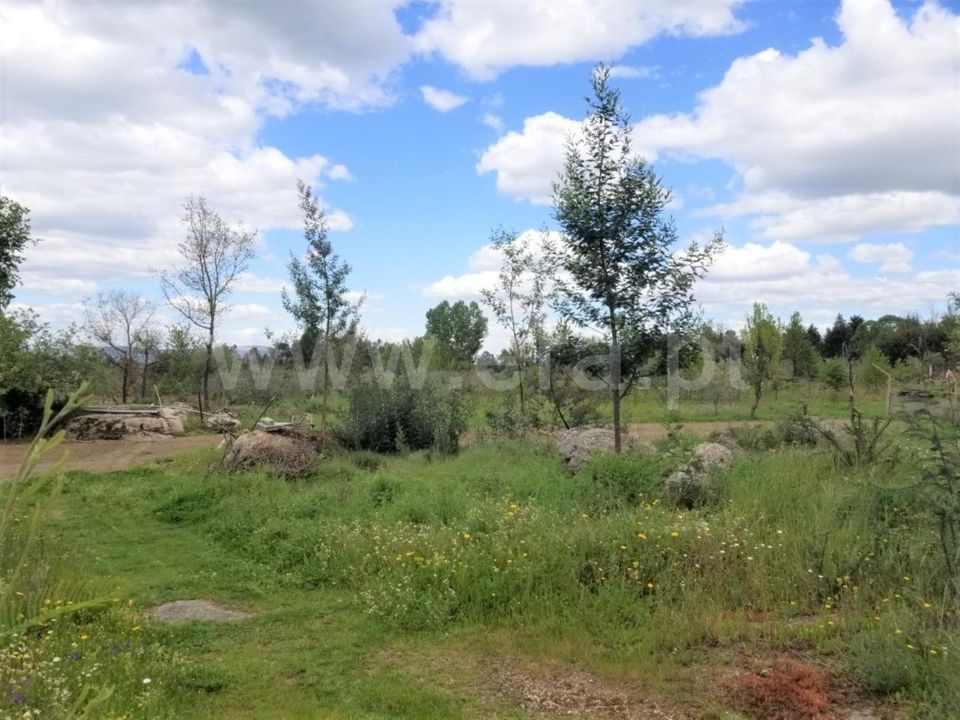 Helårsgrund i Gouveia, Guarda - foto 4