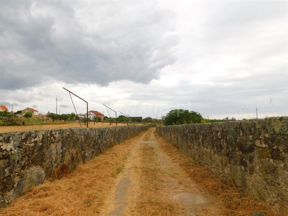Farm i Seia, Guarda - foto 5
