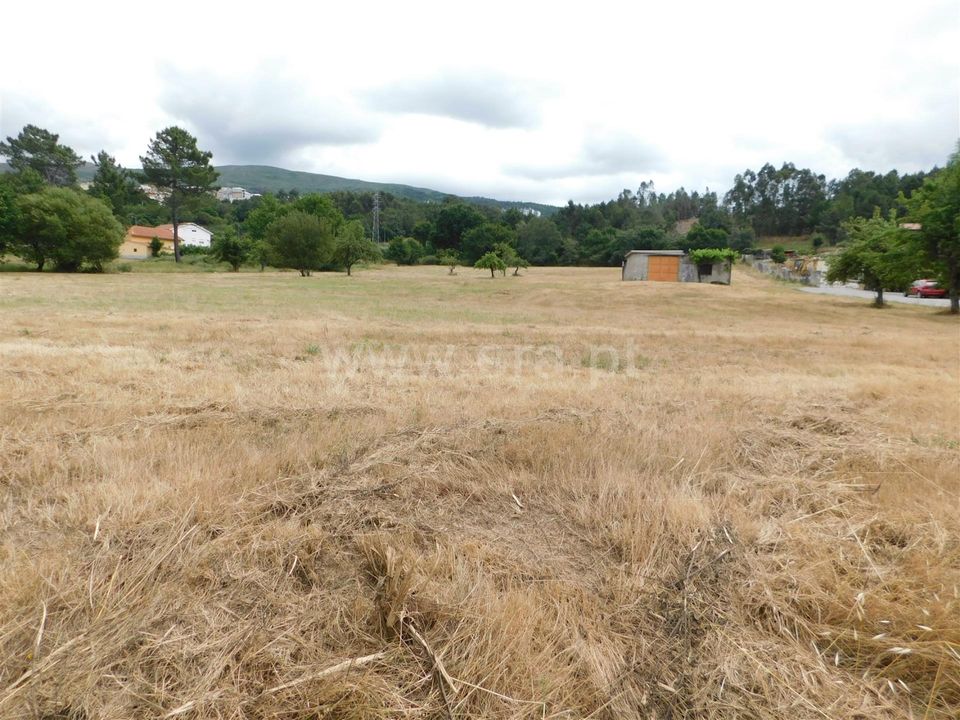 Helårsgrund i Seia, Guarda - foto 2