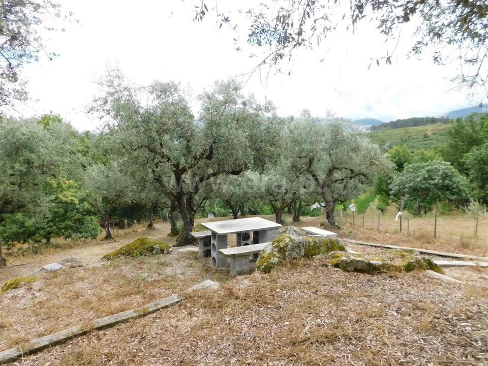 Tomt i Seia, Guarda - bilde 1