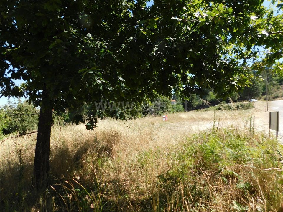 Tomt i Seia, Guarda - bilde 2