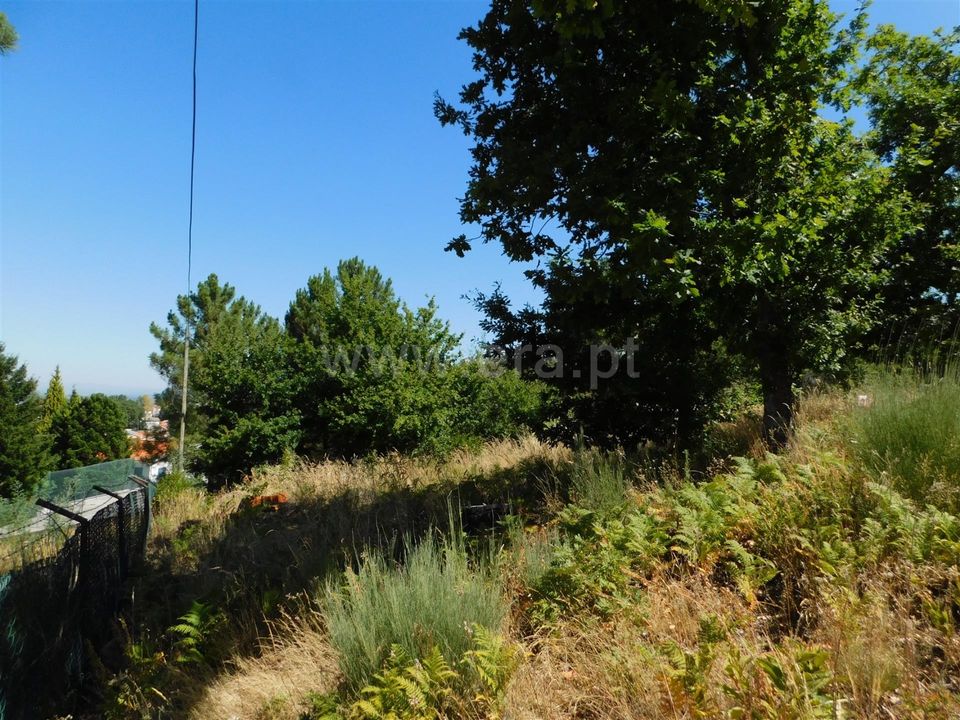 Tomt i Seia, Guarda - bilde 5