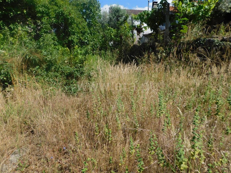Helårsgrund i Gouveia, Guarda - foto 5