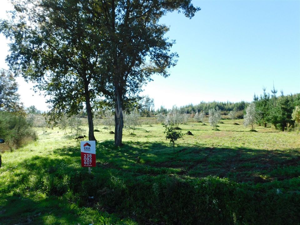 Helårsgrund i Seia, Guarda - foto 3
