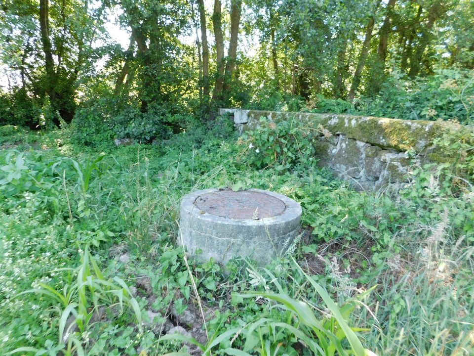 Tomt i Seia, Guarda - bilde 4