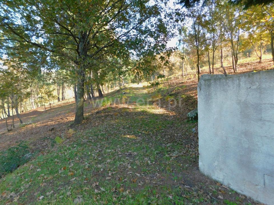 Tomt i Seia, Guarda - bilde 2