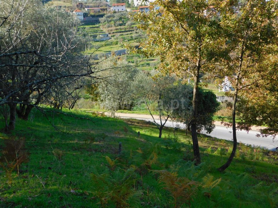 Tomt i Seia, Guarda - bilde 3