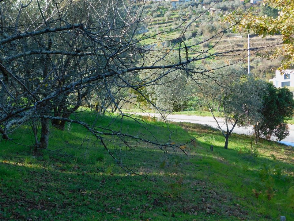 Tomt i Seia, Guarda - bilde 4