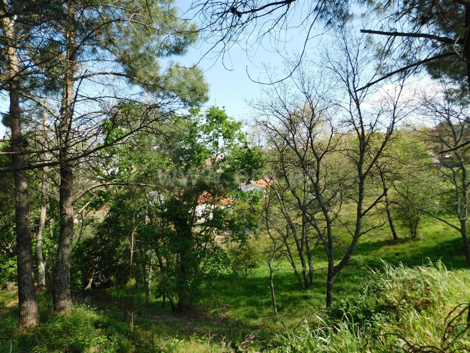 Tomt i Seia, Guarda - bilde 2