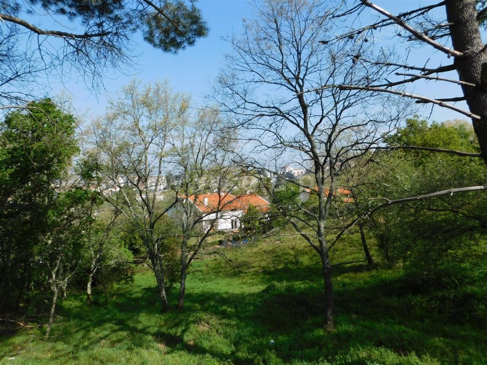 Tomt i Seia, Guarda - bilde 4
