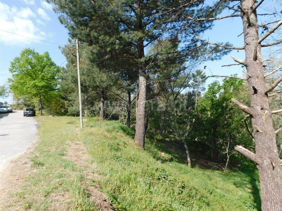 Tomt i Seia, Guarda - bilde 5