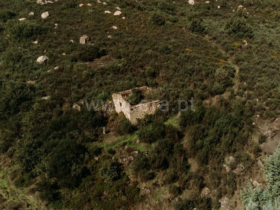 Farm i Seia, Guarda - foto 1