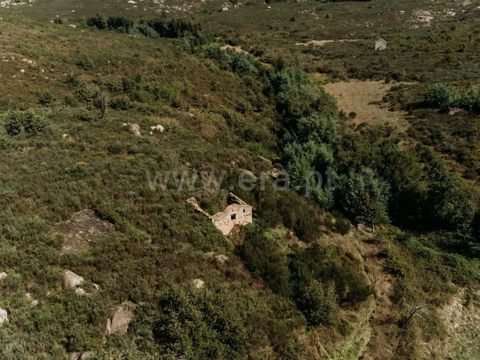 Farm i Seia, Guarda - foto 2
