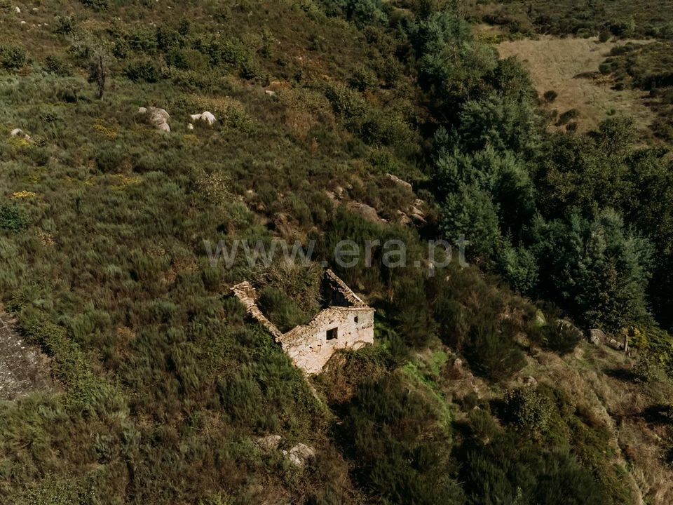 Farm i Seia, Guarda - foto 3